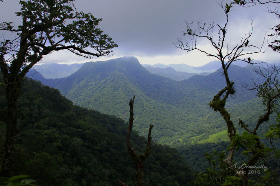 Vista A La Reserva De La Biosfera Desde El Cerro Del Marinero