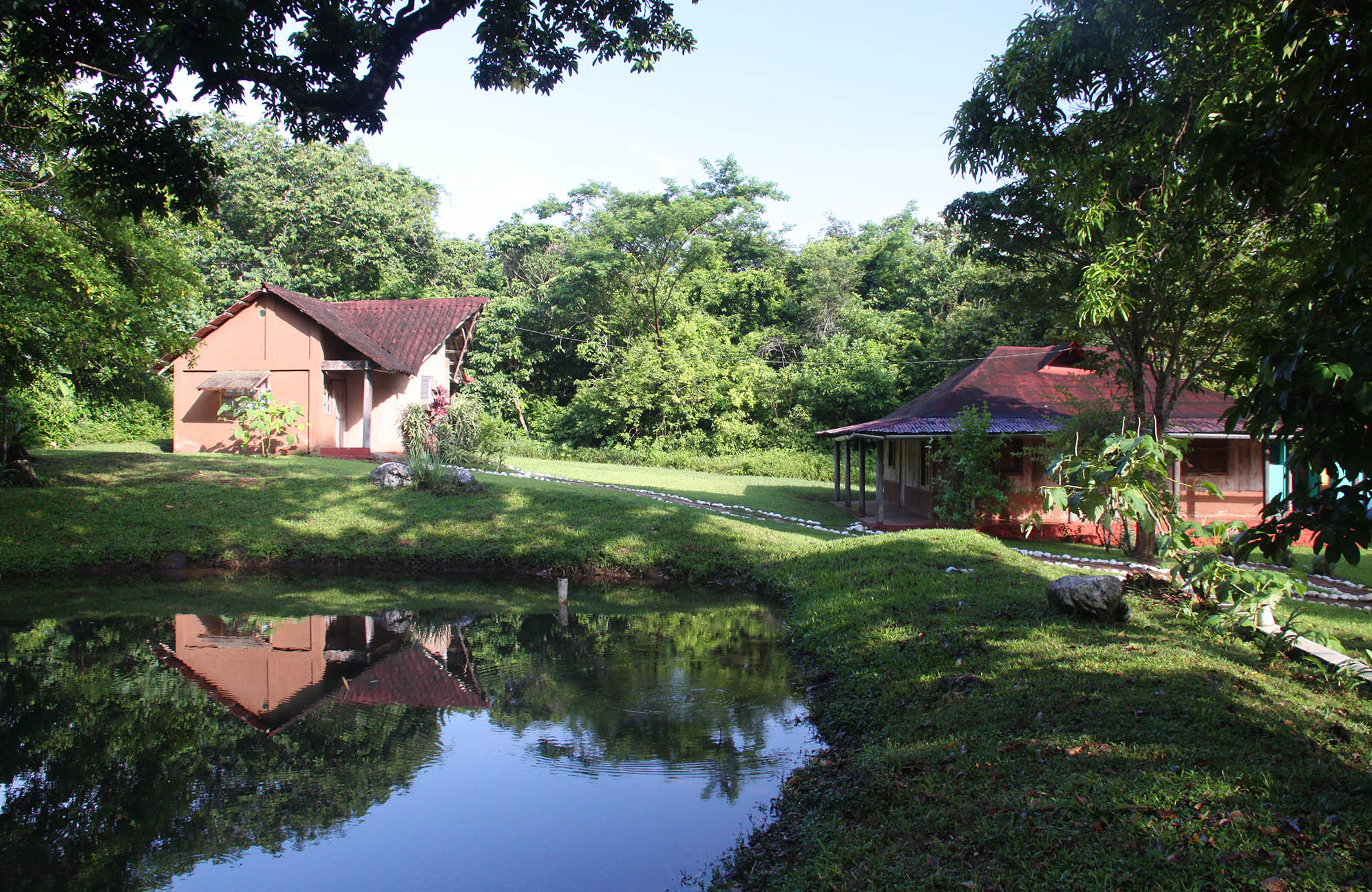 Selva lapiedra